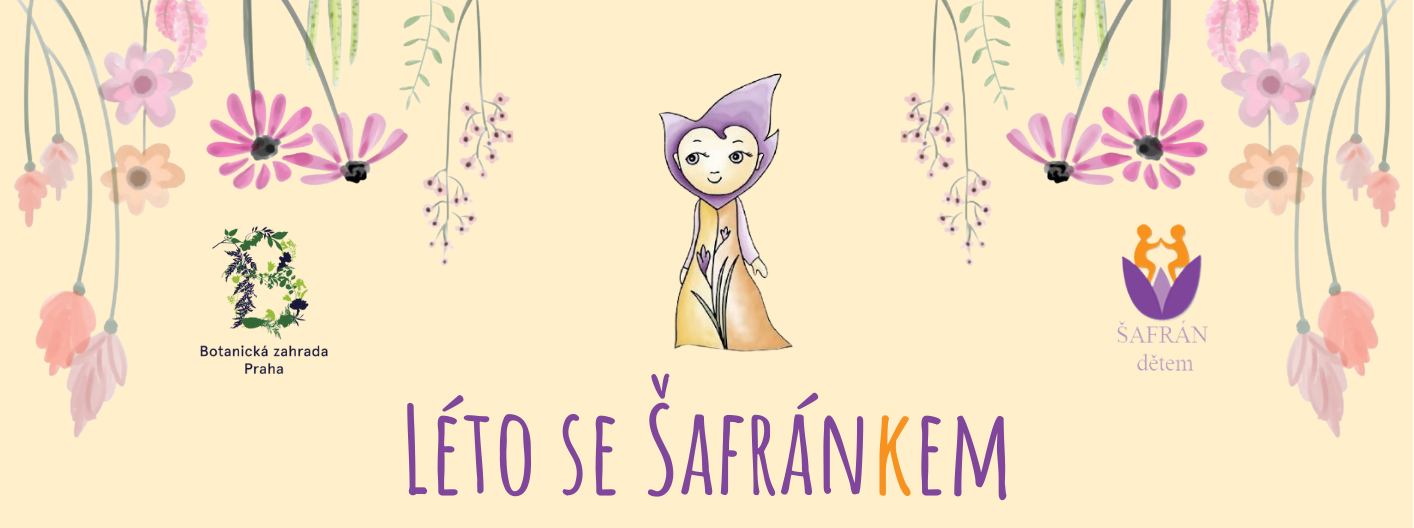 Leto se Safrankem COVER
